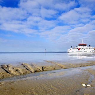 Afbeelding bij kort verhaal Eiland
